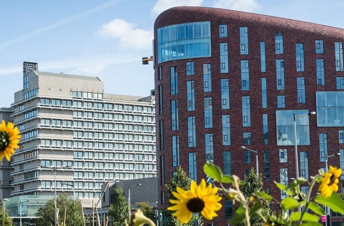 Vrije University of Amsterdam